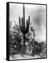 Saguaro Fruit Gatherers-Edward S Curtis-Framed Stretched Canvas