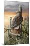 Saguaro Hunter-Trevor V. Swanson-Mounted Giclee Print