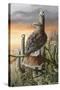 Saguaro Hunter-Trevor V. Swanson-Stretched Canvas