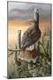 Saguaro Hunter-Trevor V. Swanson-Mounted Giclee Print