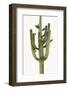 Saguaro II-Mia Jensen-Framed Photo