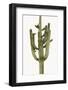 Saguaro II-Mia Jensen-Framed Photo