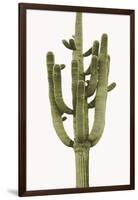 Saguaro II-Mia Jensen-Framed Photo