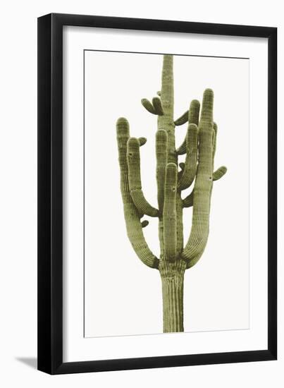 Saguaro II-Mia Jensen-Framed Photo