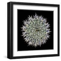 Saguaro Mandala I-Douglas Taylor-Framed Premium Photographic Print