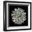 Saguaro Mandala I-Douglas Taylor-Framed Premium Photographic Print