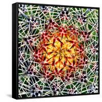 Saguaro Mandala II-Douglas Taylor-Framed Stretched Canvas