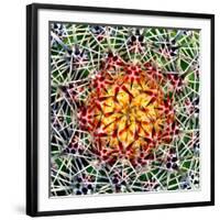 Saguaro Mandala II-Douglas Taylor-Framed Premium Photographic Print