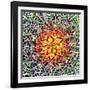 Saguaro Mandala II-Douglas Taylor-Framed Premium Photographic Print