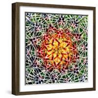 Saguaro Mandala II-Douglas Taylor-Framed Photographic Print