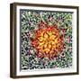 Saguaro Mandala II-Douglas Taylor-Framed Photographic Print