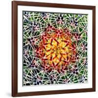 Saguaro Mandala II-Douglas Taylor-Framed Photographic Print