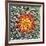 Saguaro Mandala II-Douglas Taylor-Framed Photographic Print