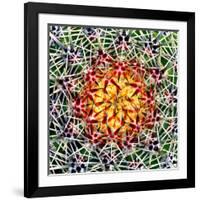 Saguaro Mandala II-Douglas Taylor-Framed Photographic Print