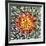 Saguaro Mandala II-Douglas Taylor-Framed Photographic Print