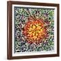 Saguaro Mandala II-Douglas Taylor-Framed Photographic Print