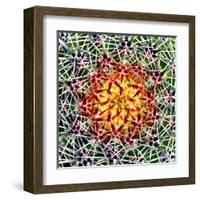 Saguaro Mandala II-Douglas Taylor-Framed Premium Photographic Print