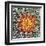 Saguaro Mandala II-Douglas Taylor-Framed Premium Photographic Print