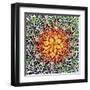 Saguaro Mandala II-Douglas Taylor-Framed Premium Photographic Print