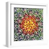 Saguaro Mandala II-Douglas Taylor-Framed Premium Photographic Print