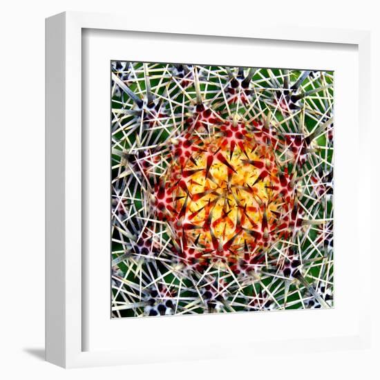 Saguaro Mandala II-Douglas Taylor-Framed Premium Photographic Print