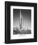 Saguaro National Monument Arizona-Ansel Adams-Framed Art Print