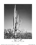 Saguaro National Monument Arizona-Ansel Adams-Lamina Framed Poster