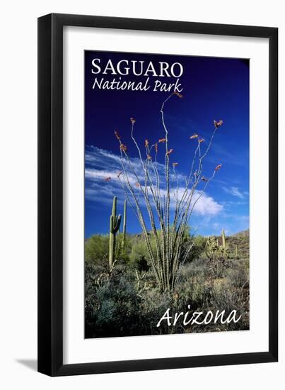 Saguaro National Park, Arizona - Cactus and Plants-Lantern Press-Framed Art Print