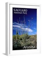 Saguaro National Park, Arizona - Cactus and Plants-Lantern Press-Framed Art Print