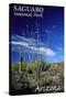 Saguaro National Park, Arizona - Cactus and Plants-Lantern Press-Stretched Canvas