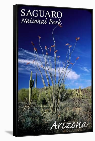 Saguaro National Park, Arizona - Cactus and Plants-Lantern Press-Framed Stretched Canvas