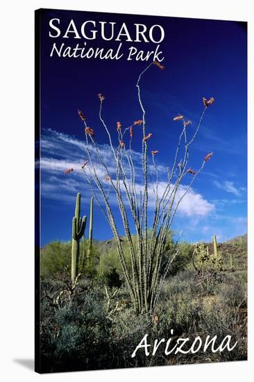 Saguaro National Park, Arizona - Cactus and Plants-Lantern Press-Stretched Canvas