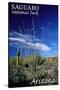 Saguaro National Park, Arizona - Cactus and Plants-Lantern Press-Stretched Canvas