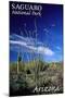 Saguaro National Park, Arizona - Cactus and Plants-Lantern Press-Mounted Art Print