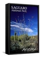 Saguaro National Park, Arizona - Cactus and Plants-Lantern Press-Framed Stretched Canvas