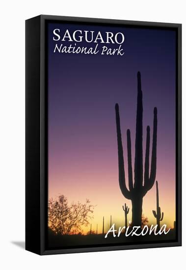 Saguaro National Park, Arizona - Cactus at Dawn-Lantern Press-Framed Stretched Canvas