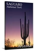 Saguaro National Park, Arizona - Cactus at Dawn-Lantern Press-Stretched Canvas