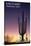 Saguaro National Park, Arizona - Cactus at Dawn-Lantern Press-Stretched Canvas