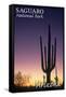 Saguaro National Park, Arizona - Cactus at Dawn-Lantern Press-Framed Stretched Canvas