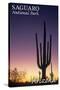 Saguaro National Park, Arizona - Cactus at Dawn-Lantern Press-Stretched Canvas