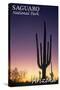 Saguaro National Park, Arizona - Cactus at Dawn-Lantern Press-Stretched Canvas