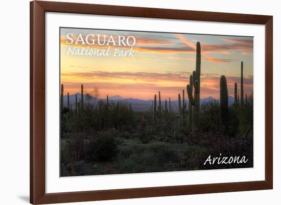 Saguaro National Park, Arizona - Cactus at Twilight-Lantern Press-Framed Premium Giclee Print