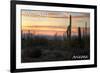 Saguaro National Park, Arizona - Cactus at Twilight-Lantern Press-Framed Premium Giclee Print