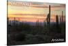 Saguaro National Park, Arizona - Cactus at Twilight-Lantern Press-Stretched Canvas