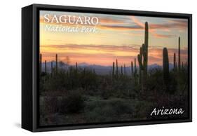 Saguaro National Park, Arizona - Cactus at Twilight-Lantern Press-Framed Stretched Canvas
