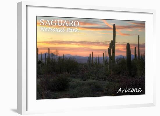 Saguaro National Park, Arizona - Cactus at Twilight-Lantern Press-Framed Art Print