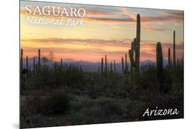 Saguaro National Park, Arizona - Cactus at Twilight-Lantern Press-Mounted Art Print