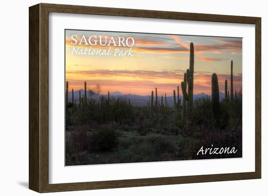 Saguaro National Park, Arizona - Cactus at Twilight-Lantern Press-Framed Art Print