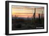Saguaro National Park, Arizona - Cactus at Twilight-Lantern Press-Framed Art Print