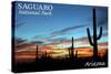 Saguaro National Park, Arizona - Cactus Silhouettes-Lantern Press-Stretched Canvas